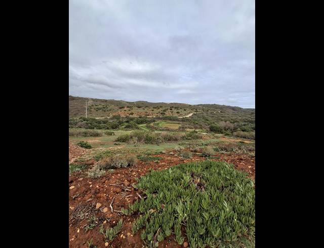 LAND FOR SALE IN OUTENIQUASBOSCH